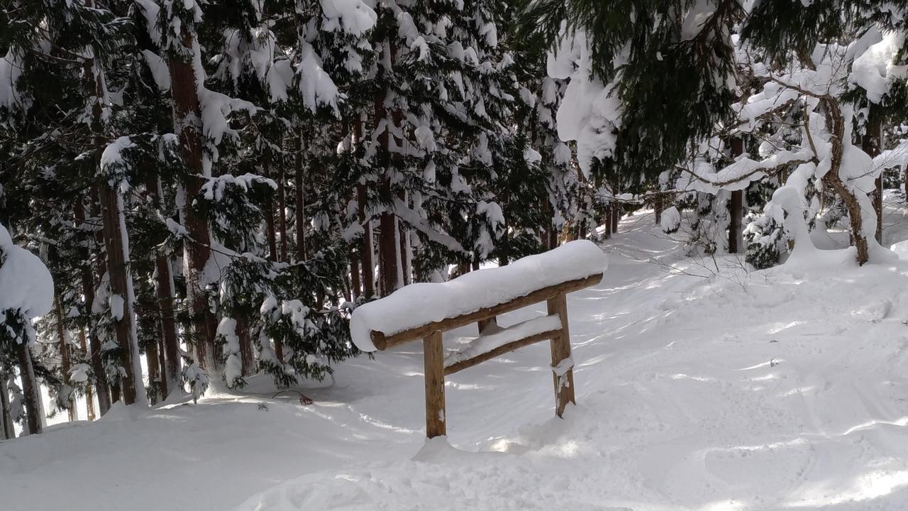 Hotel Nozawa Dream Extérieur photo