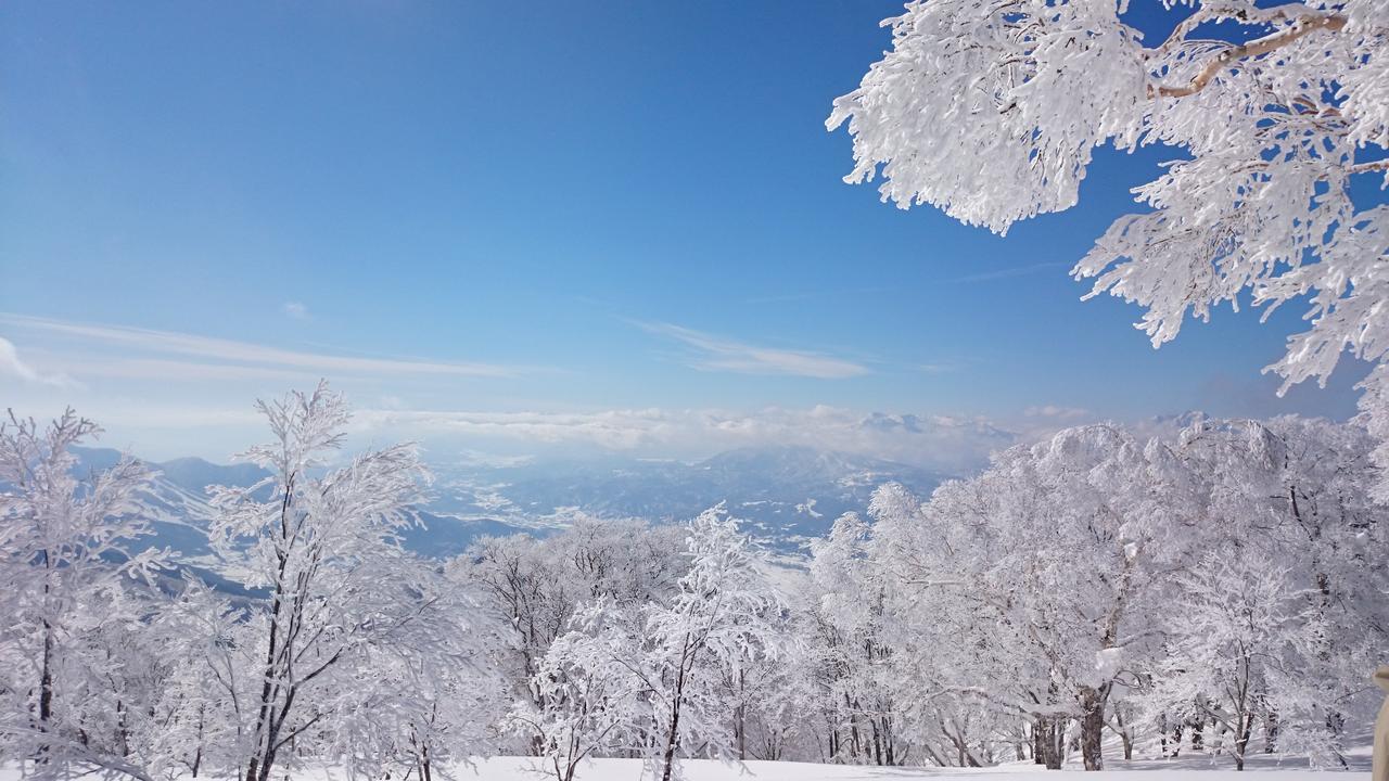 Hotel Nozawa Dream Extérieur photo