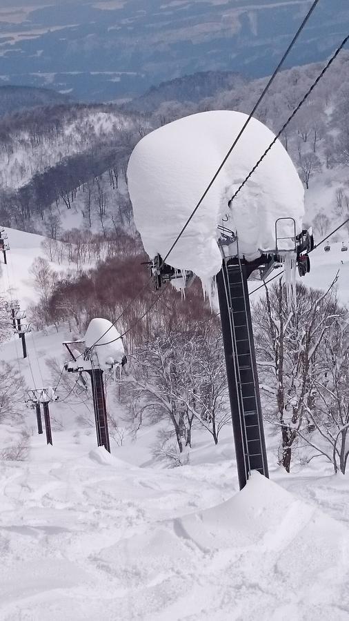 Hotel Nozawa Dream Extérieur photo