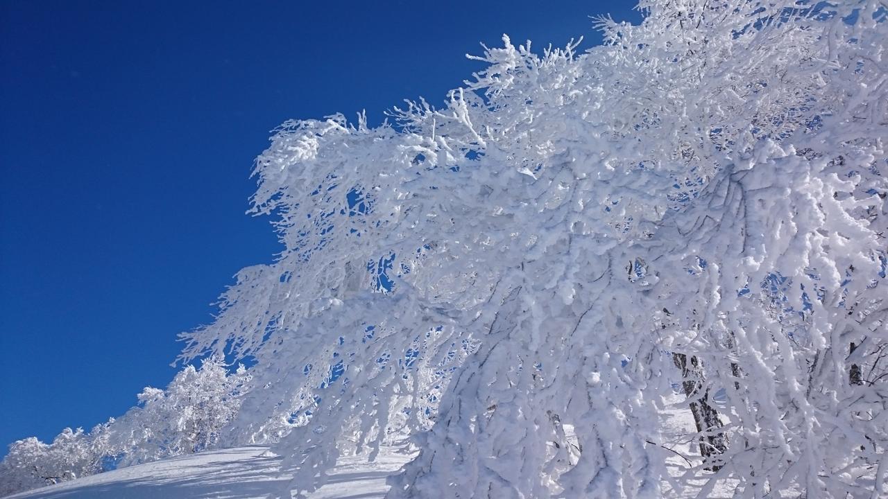 Hotel Nozawa Dream Extérieur photo