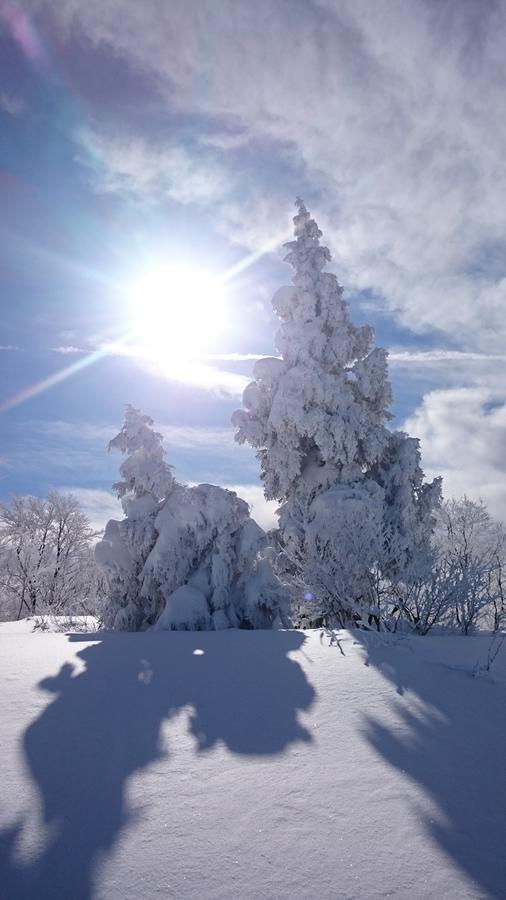 Hotel Nozawa Dream Extérieur photo