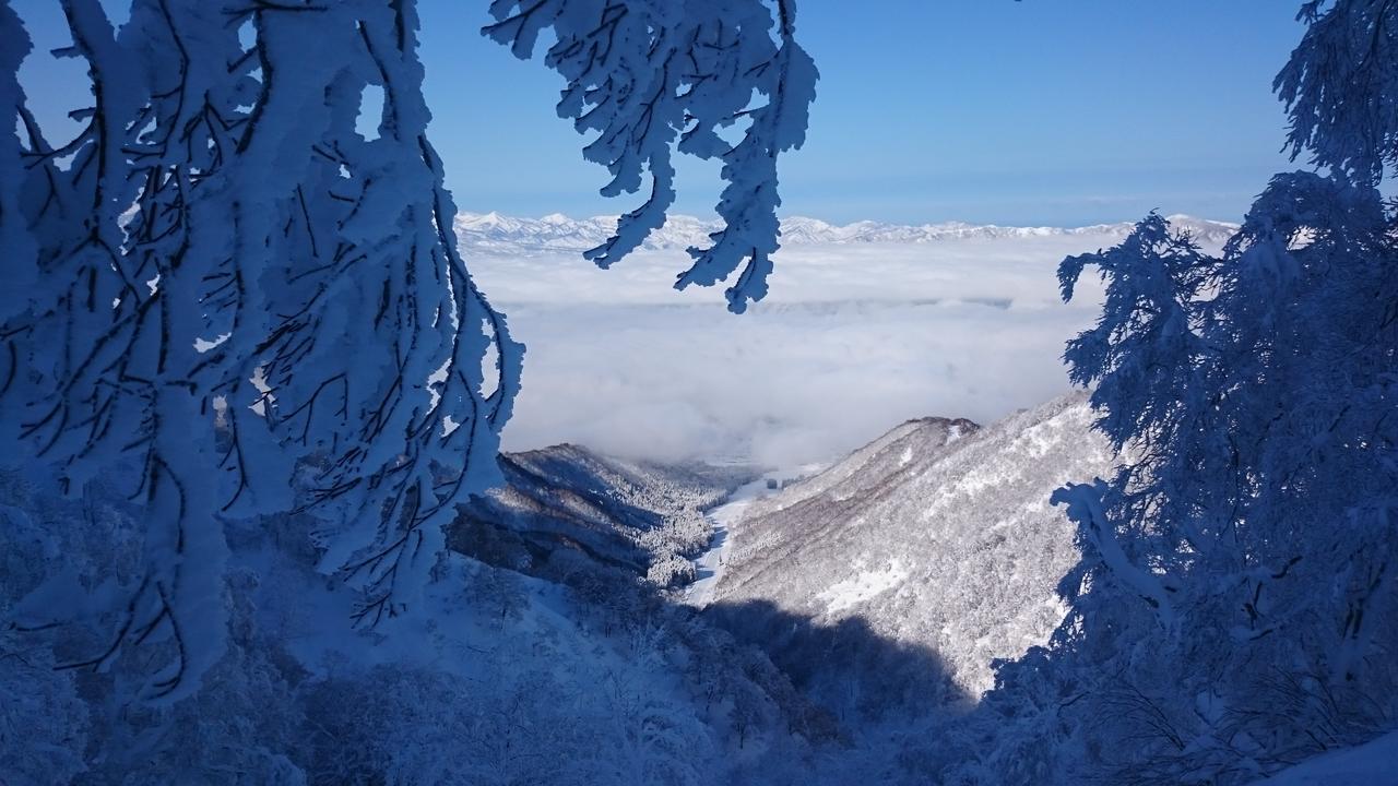 Hotel Nozawa Dream Extérieur photo