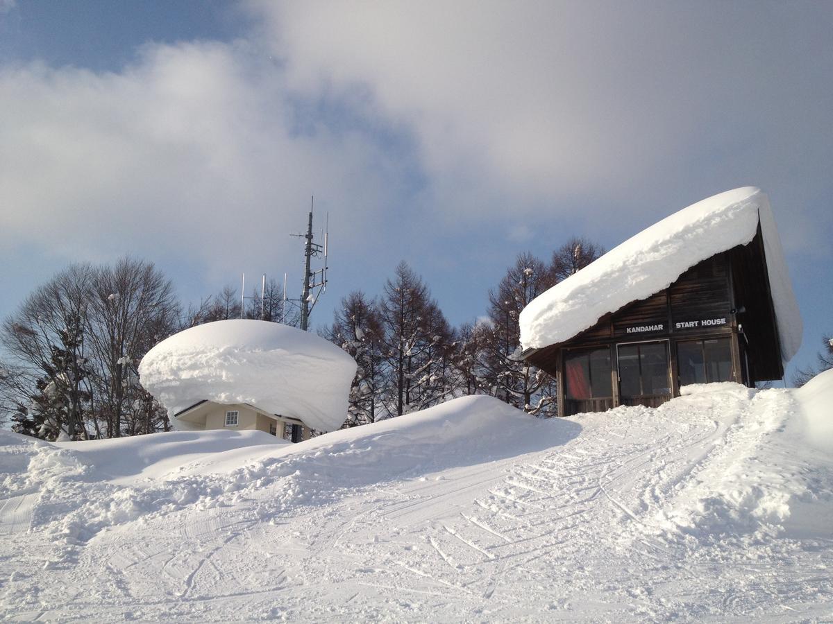 Hotel Nozawa Dream Extérieur photo